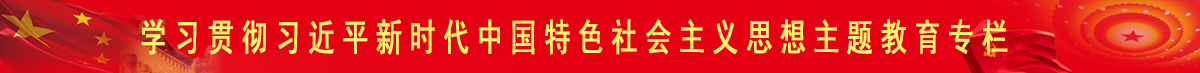 学习贯彻习近平新时代中国特色社会主义思想主题教育专栏