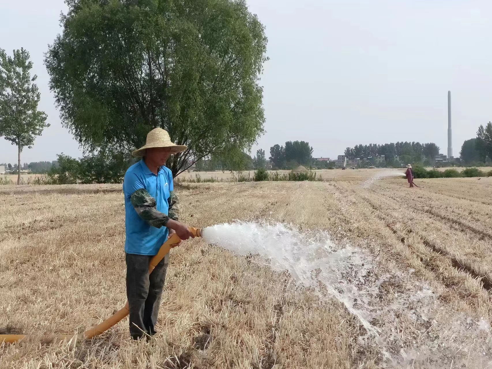蒙城农商银行:播撒金融"及时雨" 助抗旱抢种