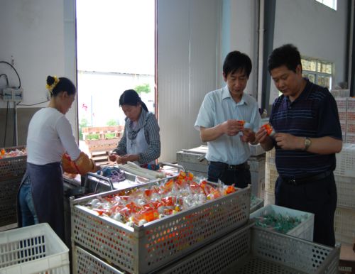 枞阳联社：积极开展企业走访活动