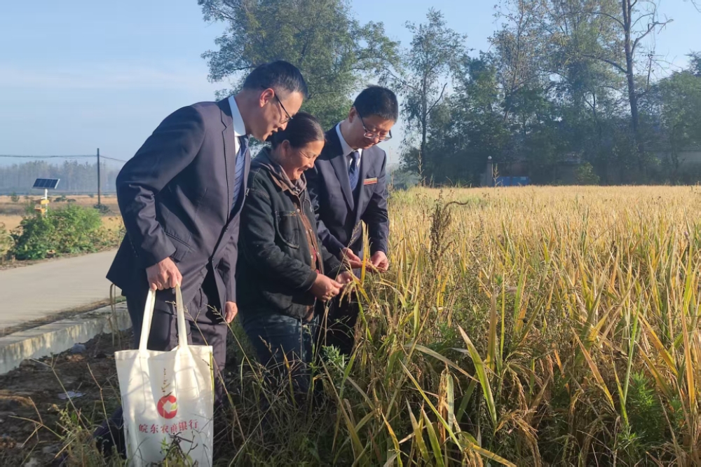 滁州皖东农商银行：贷款上保险 当天到账解难题