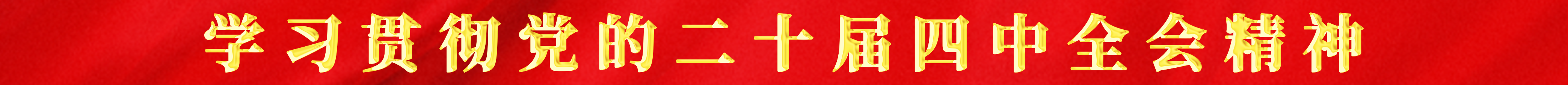 学习贯彻党的二十届四中全会精神