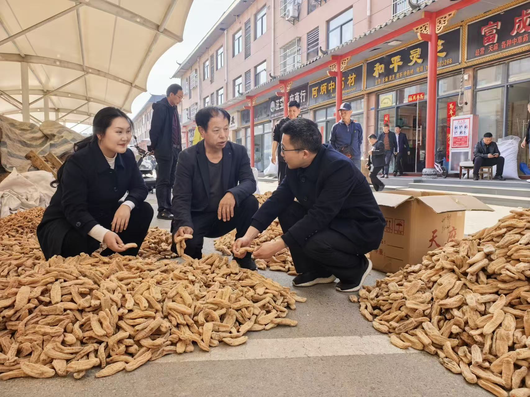 金寨农商银行为本土中医药产业注入“强心剂”