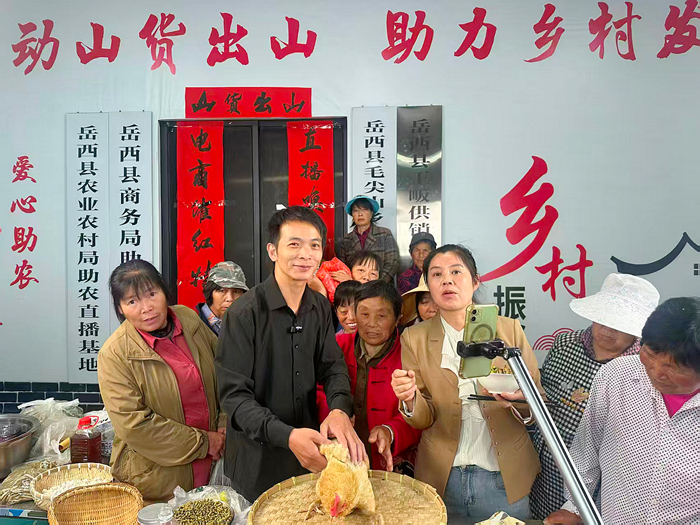 岳西农商银行：插上“金”翅膀 大山飞出“金凤凰”
