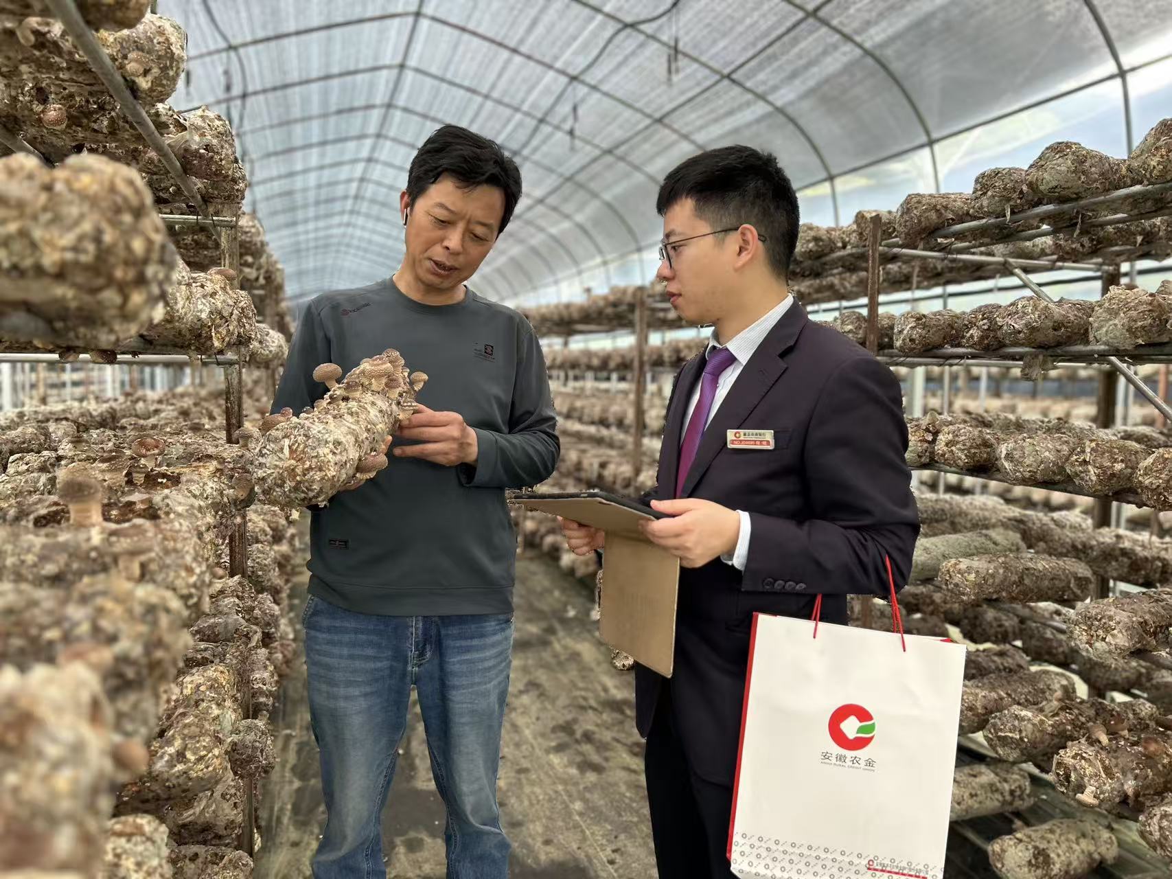 歙县农商银行精准破解菇农融资难题