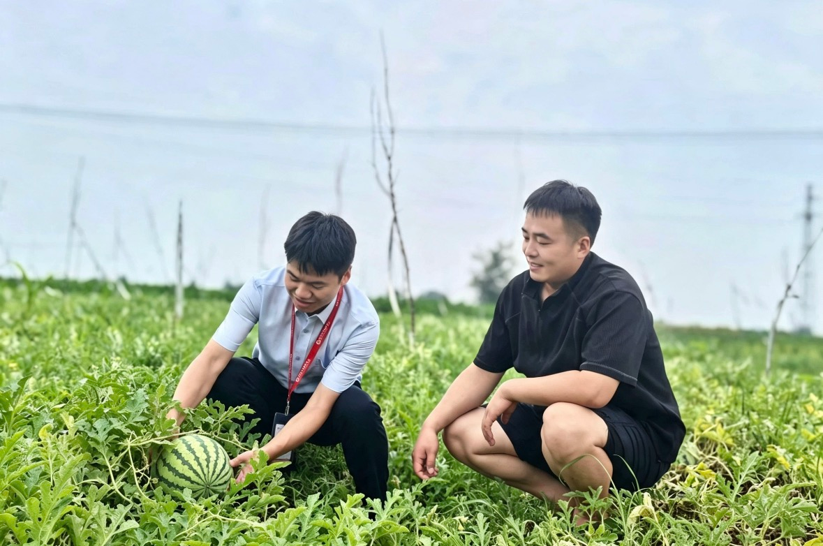 灵璧农商银行：金融“活水”润瓜田